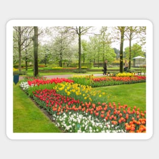 Keukenhof Tulip Festival, Holland Sticker